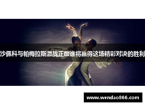沙佩科与帕梅拉斯激战正酣谁将赢得这场精彩对决的胜利